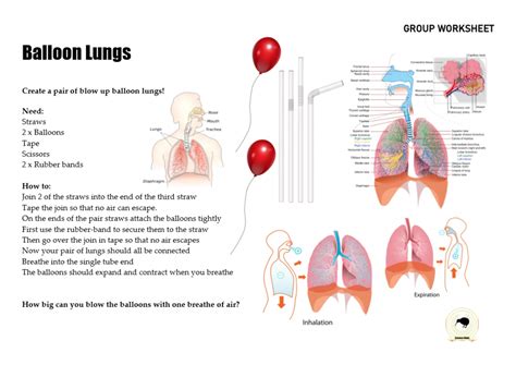 Lungs Like Balloons Filled With Tears That Won't Fall – An Exploration into Ethereal Textures and Powerful Crescendos